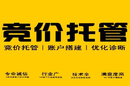 百度推广代理商成功案例：某行业巨头背后的推手